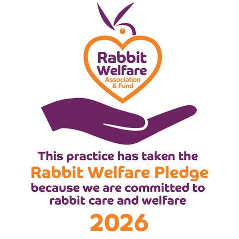 Rabbit Friendly Clinic